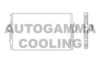 AUTOGAMMA 105503 Intercooler, charger